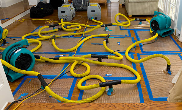 Professional Sewage Cleanup technician working in Ortonville, MN